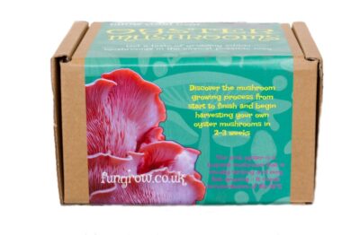 Fungrow-Pink-Oyster-Mushroom-Growing-Kit-Oxford-Mushrooms-Gift-Box-Pink