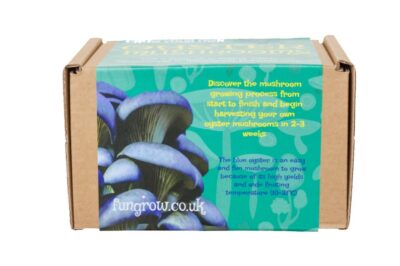 Fungrow-Blue-Oyster-Mushroom-Growing-Kit-Oxford-Mushrooms-Gift-Box-Blue